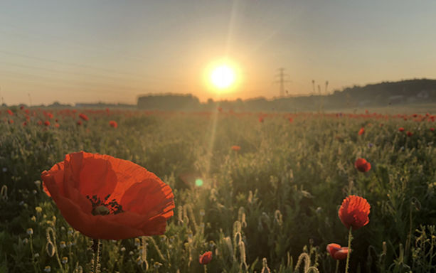 Konkurs Fotograficzny 2019