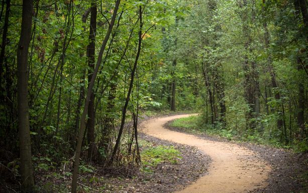Konkurs fotograficzny 2018